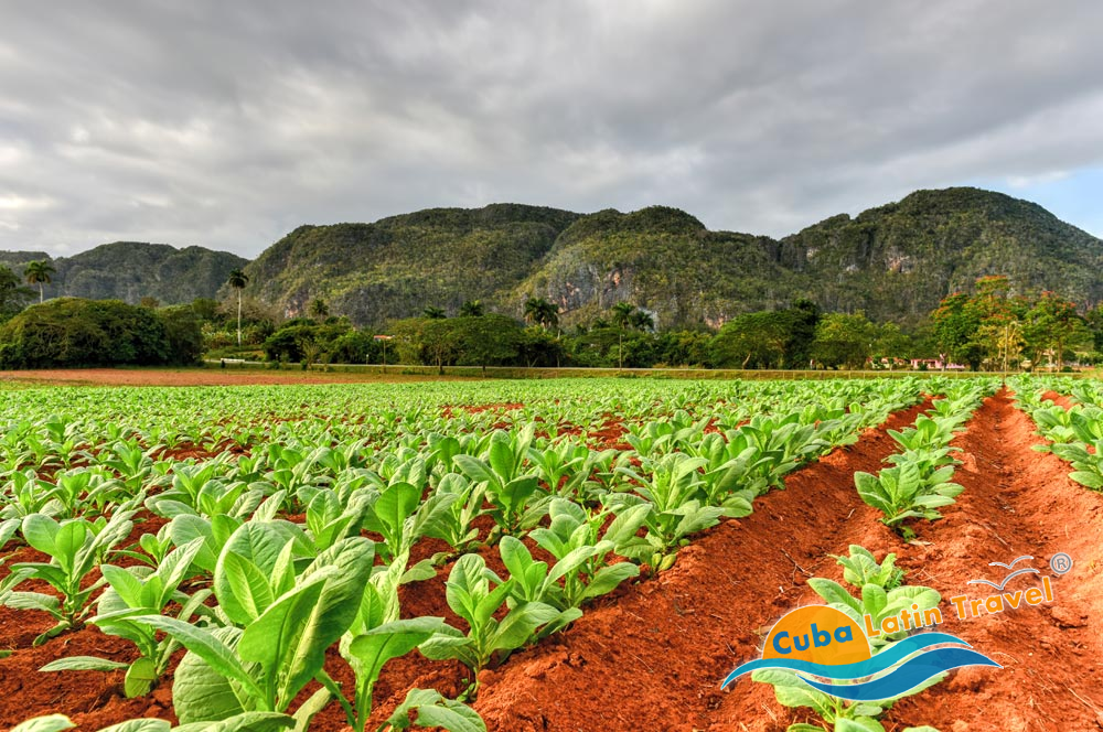 Valle di Vinales