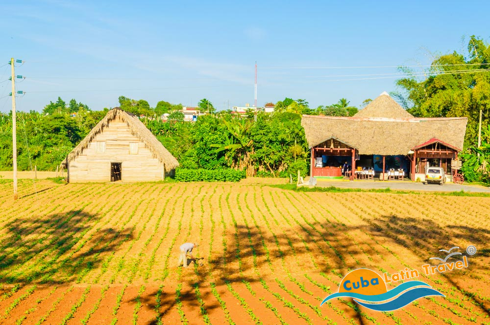 Valle di Vinales