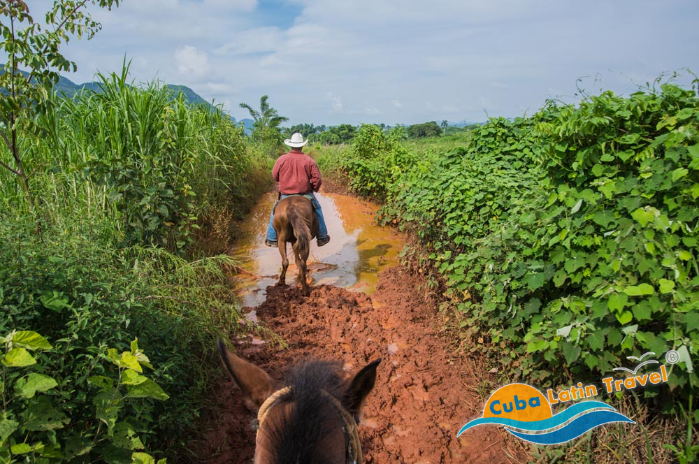 Valle di Vinales