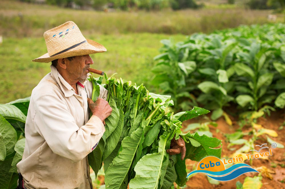 Valle di Vinales