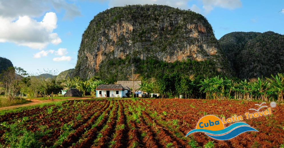 Viñales