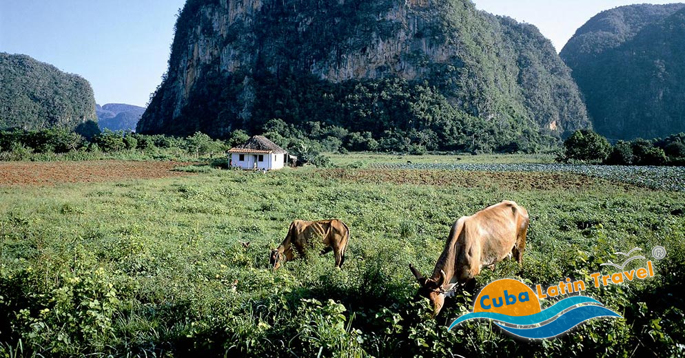 Viñales